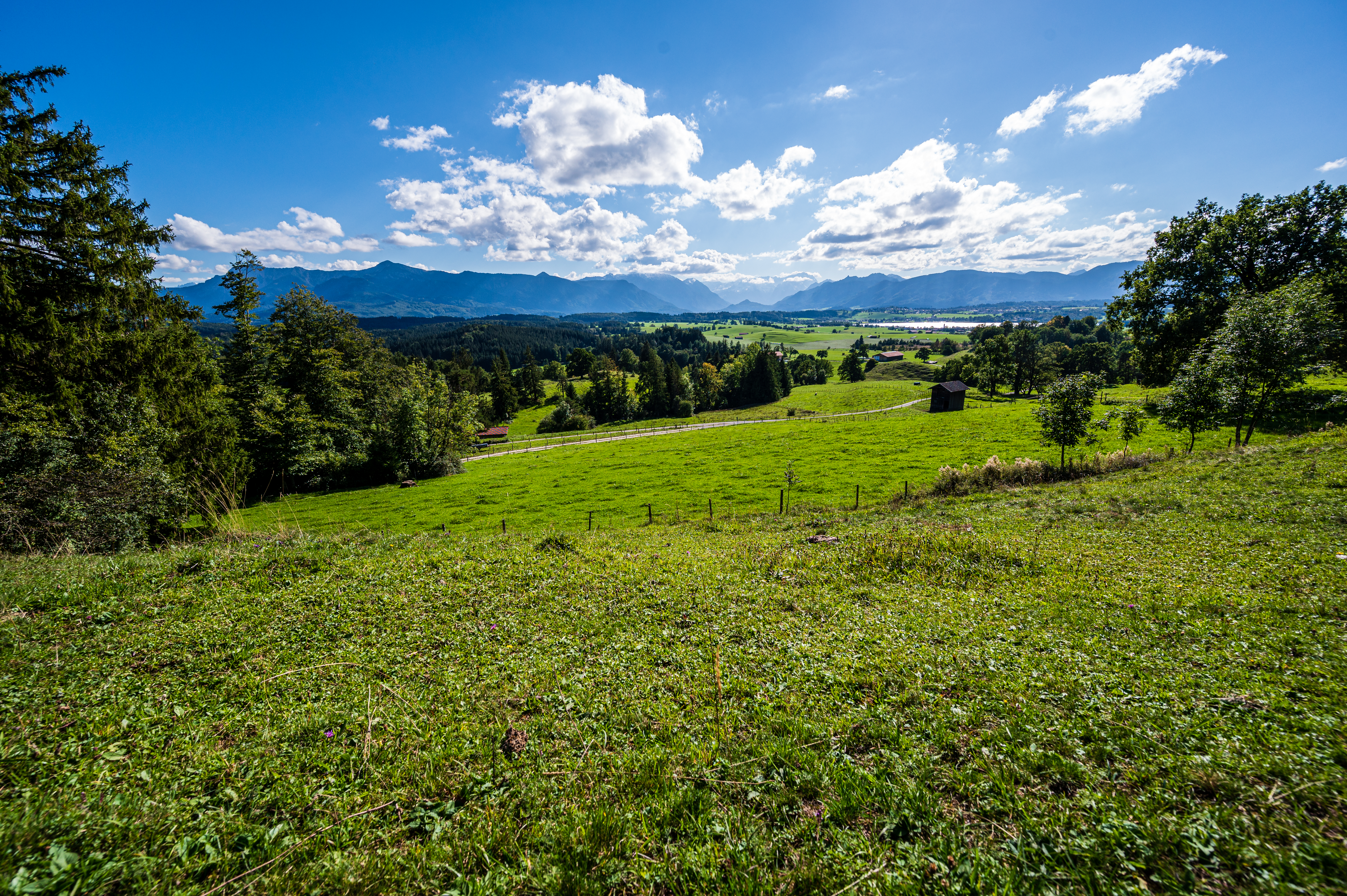 Wanderung Aidlinger Höhe